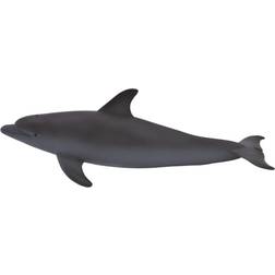 Mojo Bottlenose Delfin