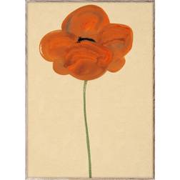 Paper Collective Orange Vallmo Poster 50x70cm