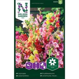Nelson Garden Høj Løvemund Mix Blomsterfrø