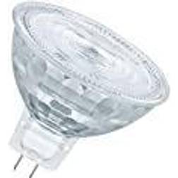 Osram LED pære Comfort MR16 36° 561lm 8W/940 (50W) GU5,3 dæmpbar GU5.3 Bestillingsvare, 6-7 dages levering