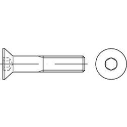 8X30 FZB ISO 10642 undersænket indv. 6-kt.