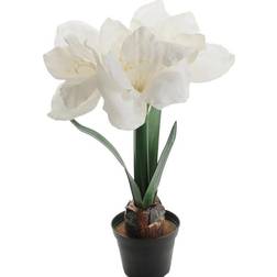 Mr Plant Amaryllis - Hvid Kunstig plante