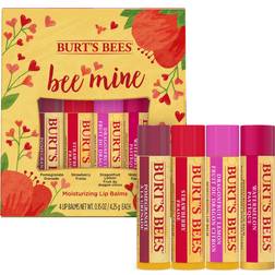 Burt's Bees Moisturizing Valentine Lip Balms
