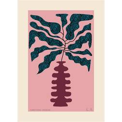 Paper Collective Flower Studies 01 Prickblad Poster 50x70cm