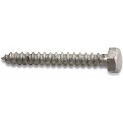 Heco 9605076 Sexkantsträskruv varmförzinkad, T6S 10-pack 10st