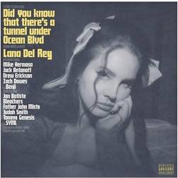 Did You Know That There's A Tunnel Under Ocean Blvd (2 LP)