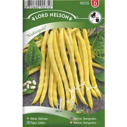 Nelson Garden Stangvoksbønne 'Neckargold' Blomsterfrø