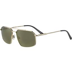 Serengeti Wayne Polarized SS546001