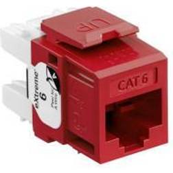 jack eXtreme Kat6