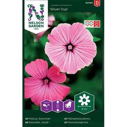 Nelson Garden Fröer Malva Sommar Blomsterfrø