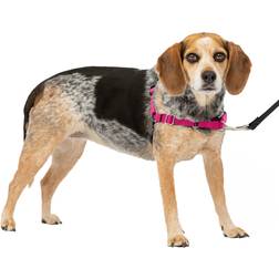 PetSafe Easy Walk Dog Harness, No Pull Dog Harness, Raspberry/Gray, Small/Medium