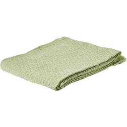 Dacore Plaid Bomuld Tæppe Grøn (150x)
