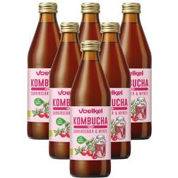 Kombucha Surkirsebær-Mynte Demeter