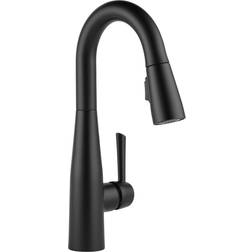 Delta Faucet Essa