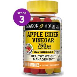 Mason Natural Cider Vinegar Gummies 750 60 pcs