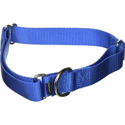 PetSafe Premier Martingale Dog Collar