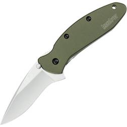 Kershaw Scallion Linerlock A/O (1620) Fickkniv