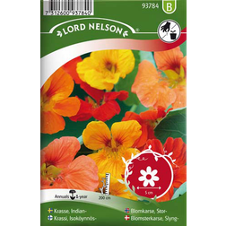 Nelson Garden Slyngblomsterkarse Mix Blomsterfrø