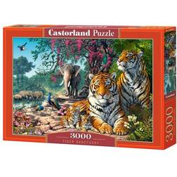 Castorland Tiger Sanctuary 3000 Pieces