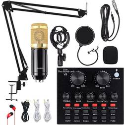 Alpowl BM-800 Mic Kit with Live Sound Card
