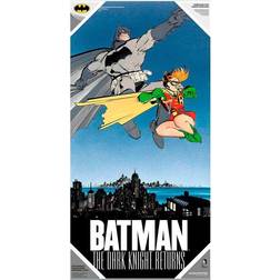 DC Comics Batman and Robin glass poster