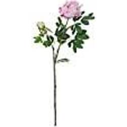 Europalms Peony Branch premium, artificial pink Konstgjord växt