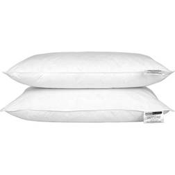 Homescapes Goose Feather Oreiller en Duvet (74x48cm)