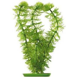 Marina Plast Plante Hornwort 20Cm