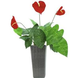 Europalms Anthurium, artificial, 70cm, Anthurium Konstgjord växt