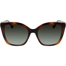 Ferragamo Solbriller Sf1026S - Tortoise