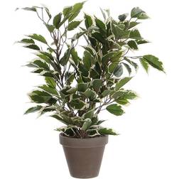 Mica Decorations Ficus Natasja Konstgjord växt