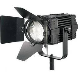 Boltzen B-60 Fresnel 60W Fanless Focusable LED Daylight Fixture