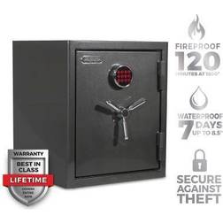 Sanctuary Platinum Safe Metallic Finish, Dark