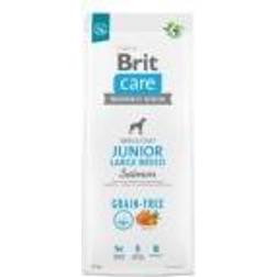 Brit Care Grain-Free Junior Large Breed Salmone & Patate Crocchette Cane - 2 x 12 kg