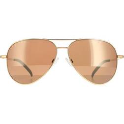 Serengeti Carrara Polarized Drivers Gold Shiny Bold