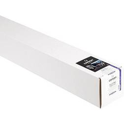 Canson Platine Fibre Rag 310 g 44 x 15.25 m