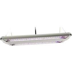 Feit Spectrum High Bay Plantlights 86W