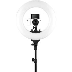 Wistream Halo 300 Ring Light