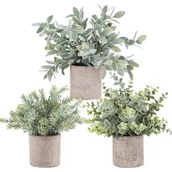 Der Rose B07VKJKFN2 Artificial Plant 3pcs