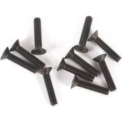 Axial M2.5 12mm Head Screw 10