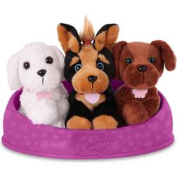 Pucci Pups Adopt a Dog Fuchsia Basket