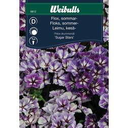 Weibulls Flox Sugar Stars Blomsterfrø