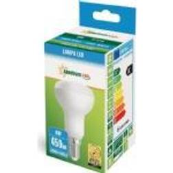 Spectrum LED R-50 E14 230V 6W CW Spectrum
