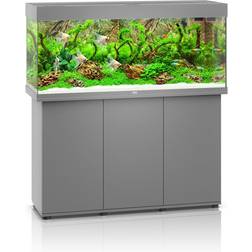 Juwel Akvarium Grått Rio 240 121x41x55