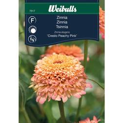 Weibulls Zinnia Cresto Peachy Pink Blomsterfrø