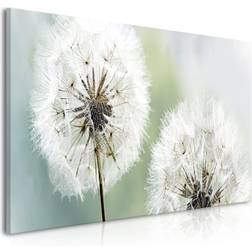 Artgeist af mælkebøtte Fluffy Dandelions Billede