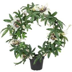 Mr Plant Kunstig Passiflora bøjle 40 Kunstig plante