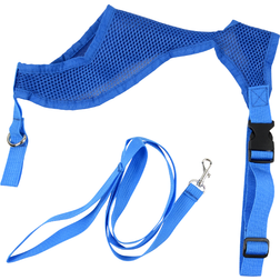 Gaun Chicken harness