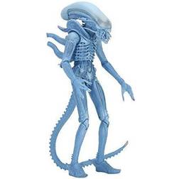 NECA Aliens Series 11 Warrior Alien (Blue) 7" Scale Action Figure