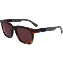 Lacoste Solglasögon, Havanna, one